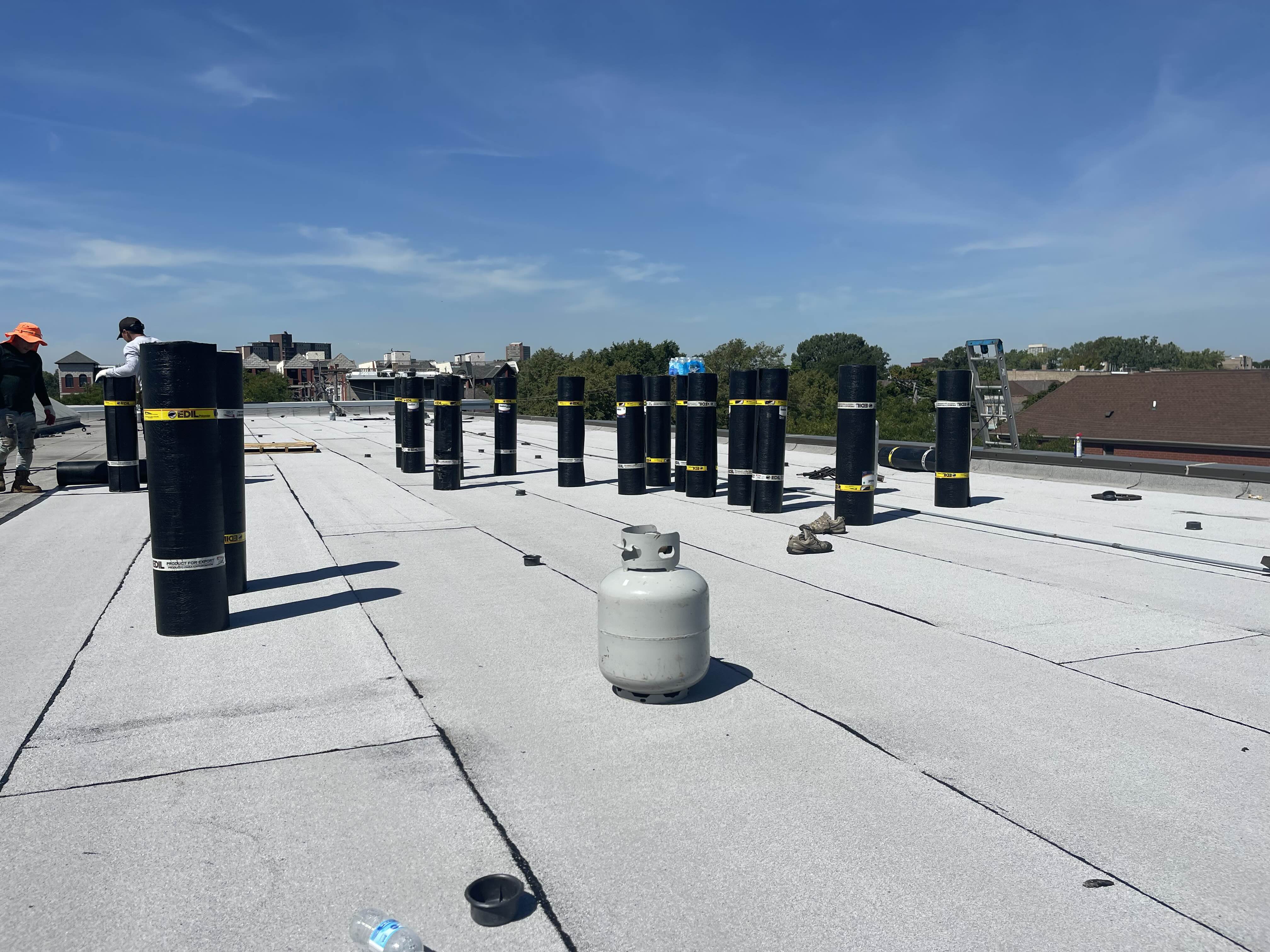 Professional roofing services